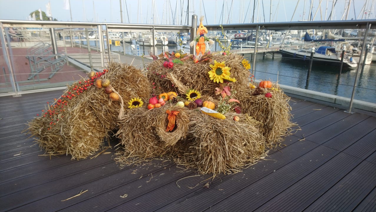 Sonstiges Ferienhauspark Asgard in Damp