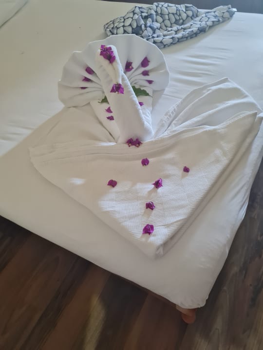Zimmer Oz Hotels Incekum Beach