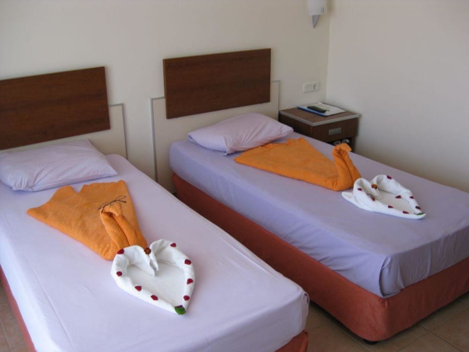 Vögel im Zimmer Sayanora Hotel