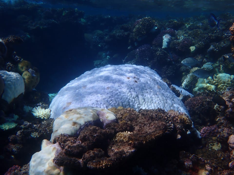 Sport & Freizeit Beach Safari Nubian Resort