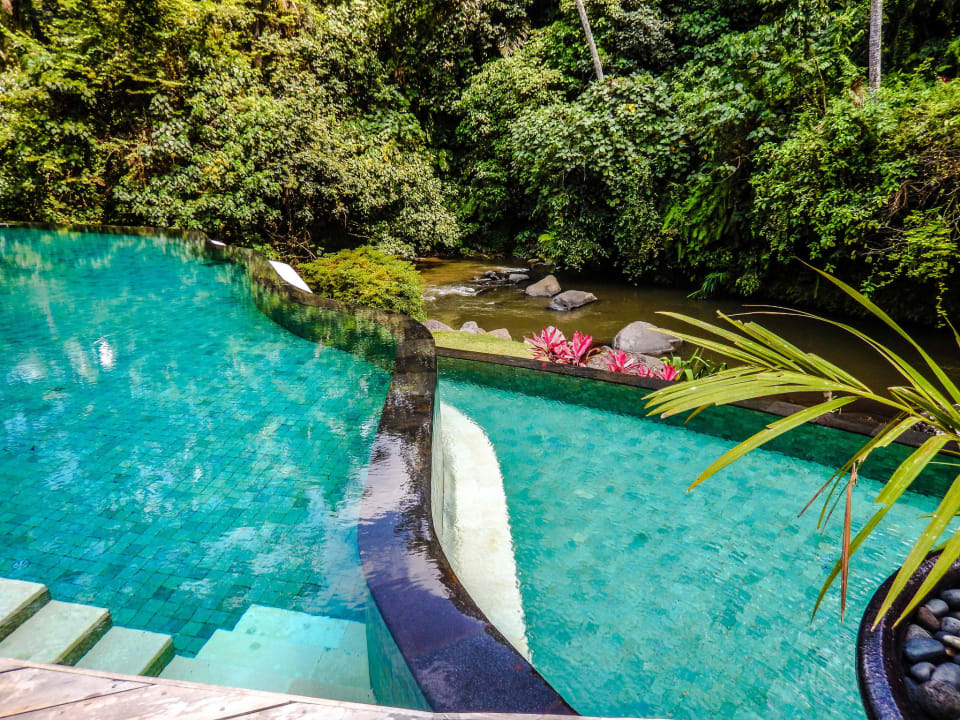 Hauptpool Four Seasons Resort Bali at Sayan