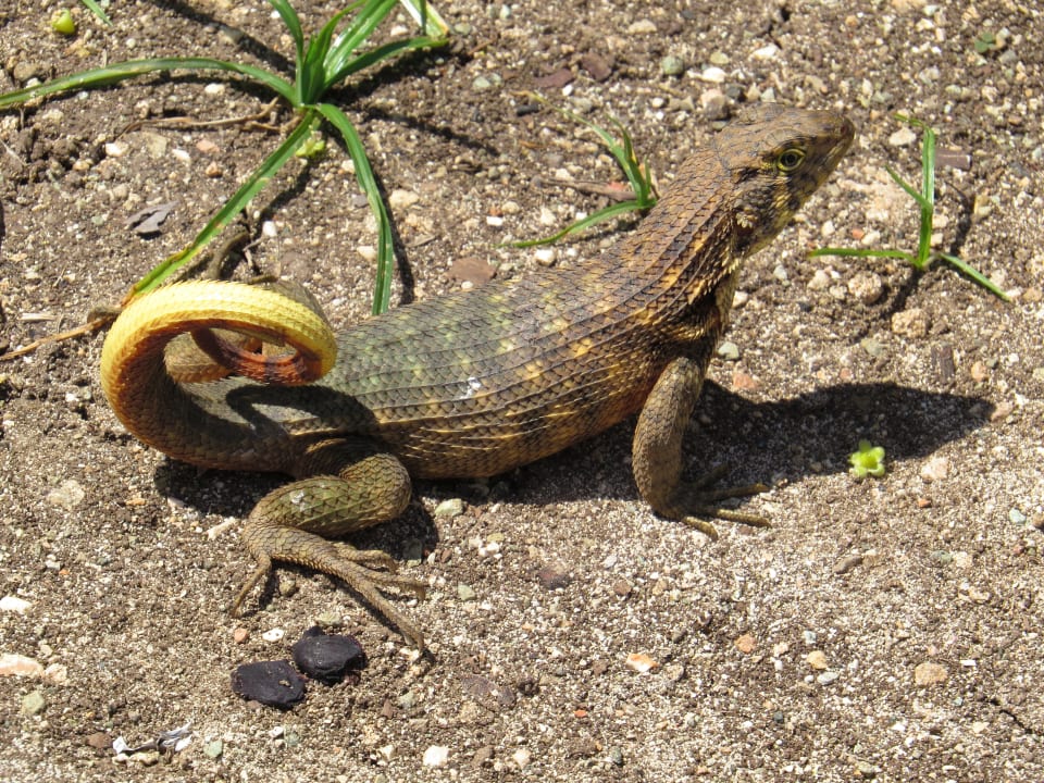Sonstiges Sol Rio De Luna y Mares