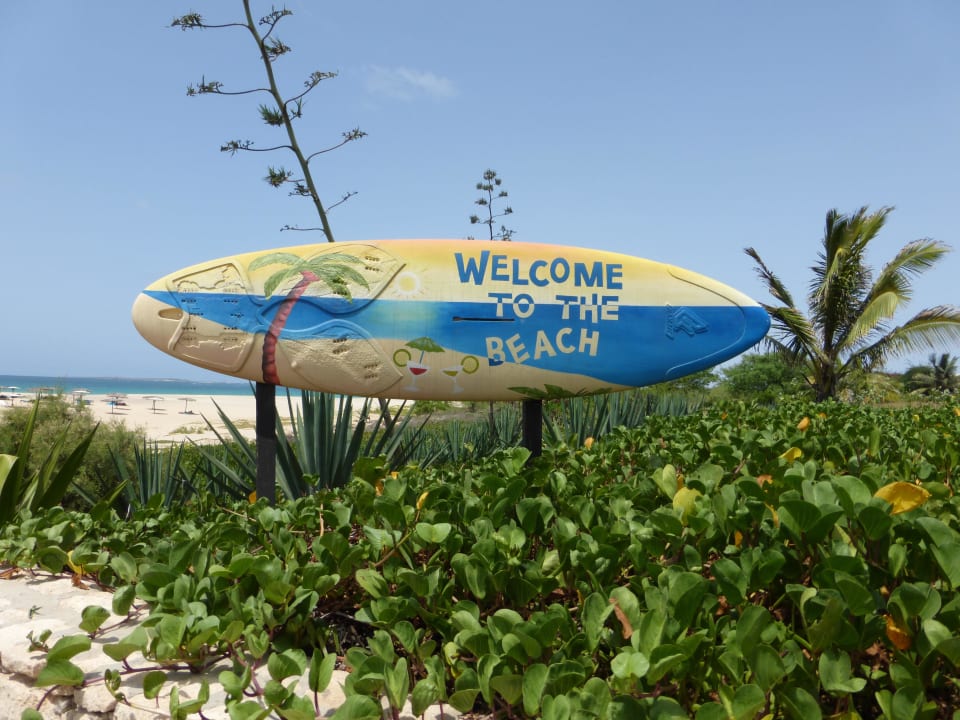 Welcome to the beach Occidental Boa Vista Beach