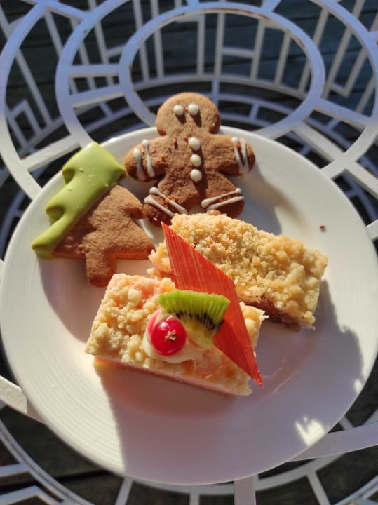 Gastro Acanthus Cennet Barut Collection