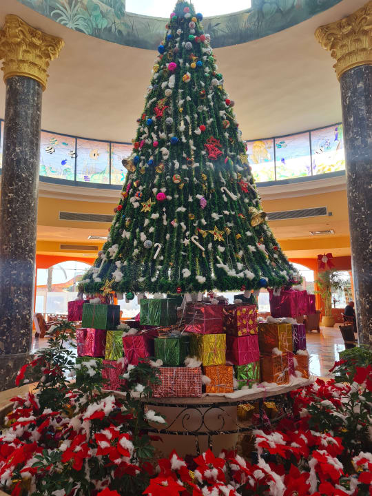 Sonstiges Three Corners Happy Life Beach Resort