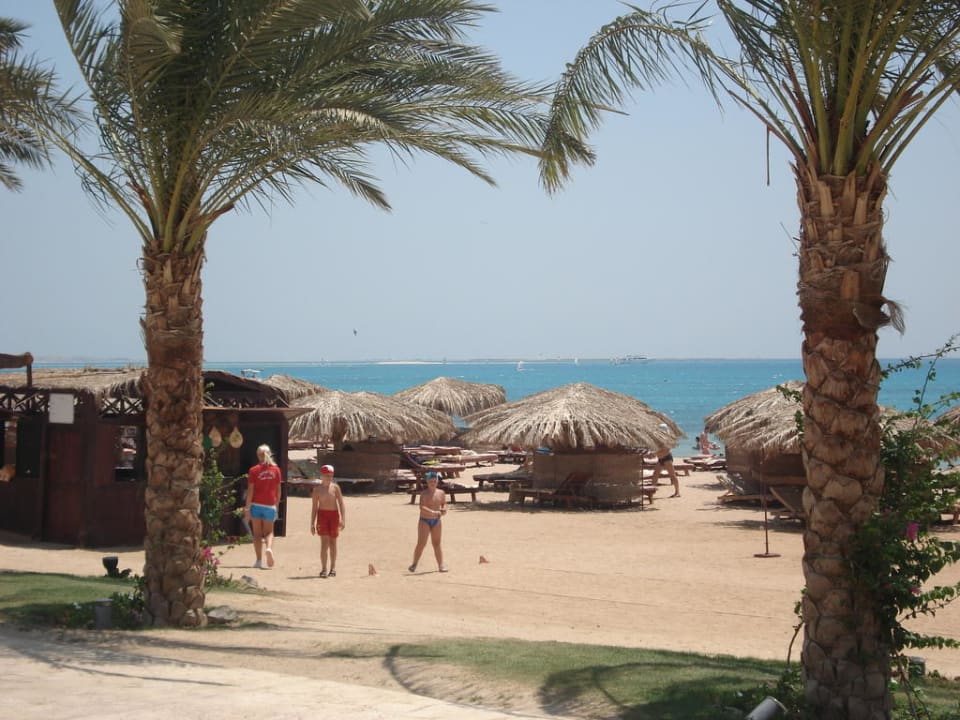 Plaża, widok z baru Sentido Caribbean World Soma Bay