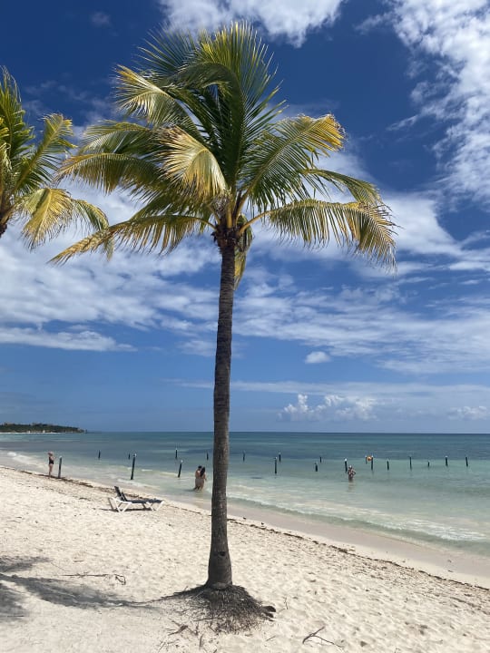 Strand Grand Palladium Select White Sand Resort & Spa