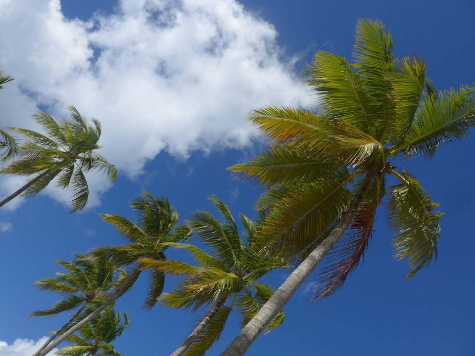 Samana Wyndham Alltra Samana