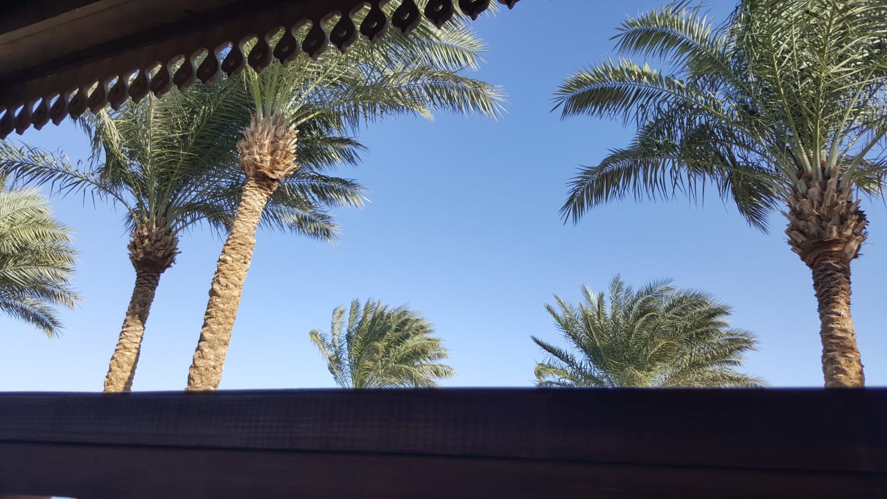 Sonstiges Makadi Spa - Adults only