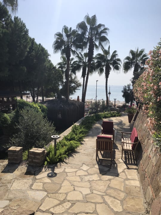 Gartenanlage Arum Barut Collection