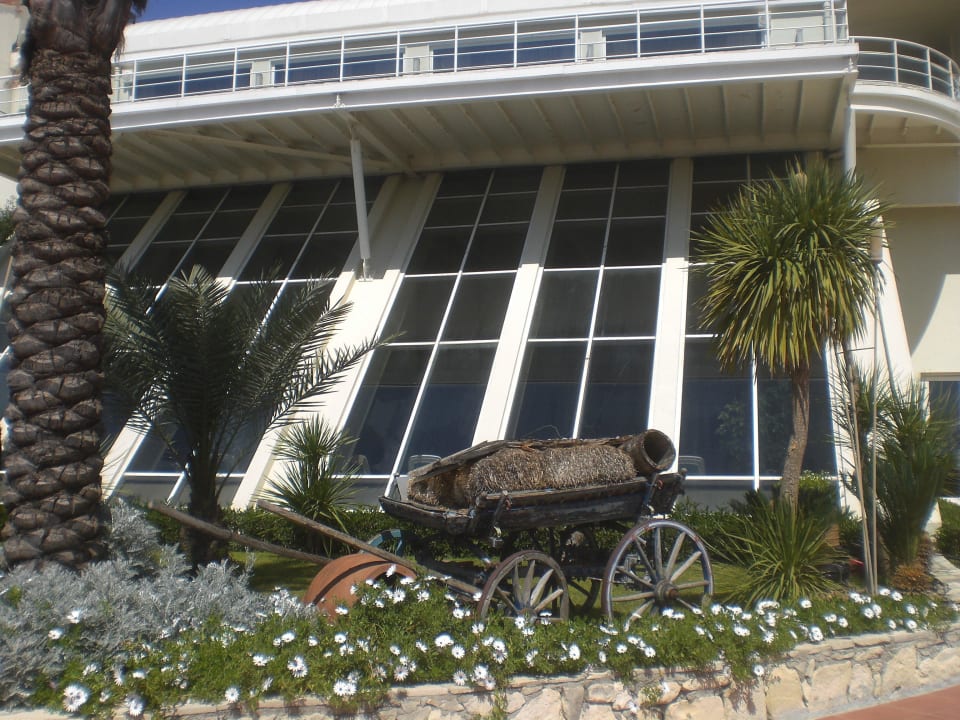 Hallenbad PALOMA Perissia