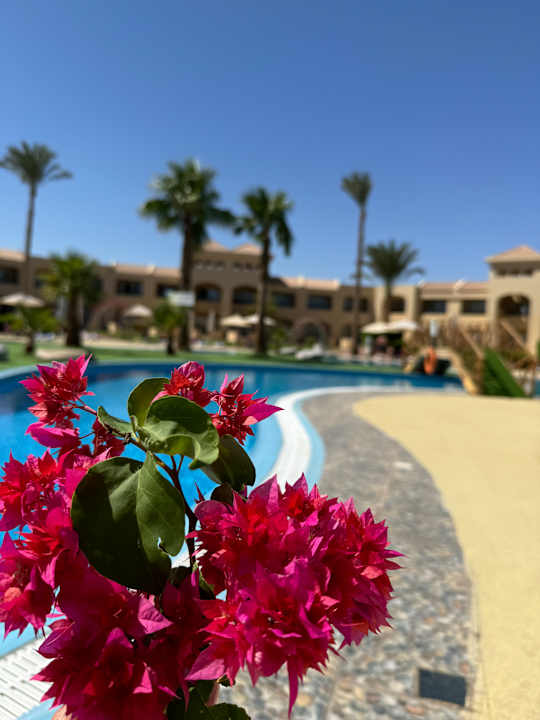 Pool Cleopatra Luxury Resort Makadi Bay