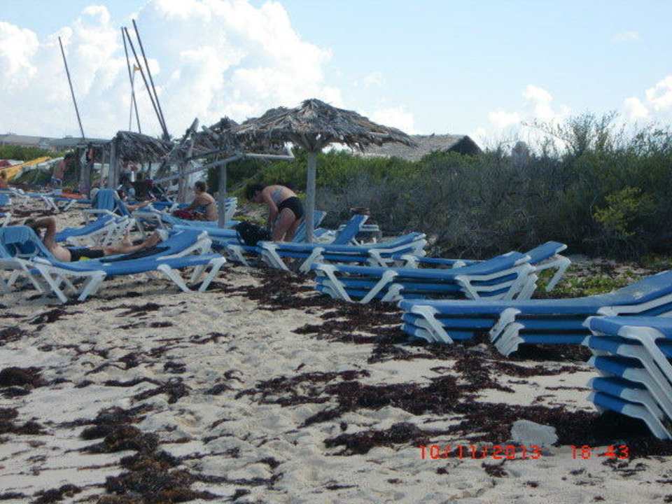 "Traum-Strand" Melia Las Dunas