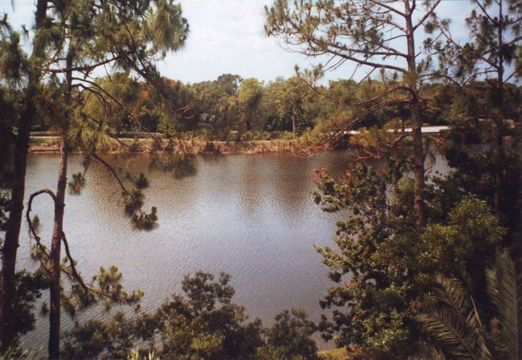 Bonita Bay Hotel Trianon Bonita Bay