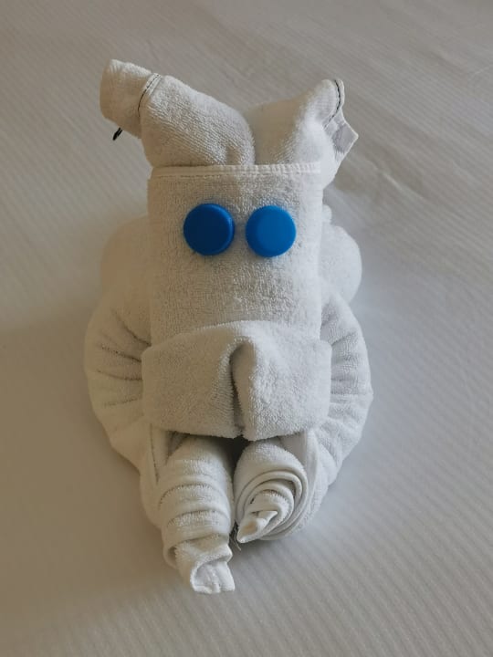 Zimmer Pickalbatros Palace Hotel-Port Ghalib