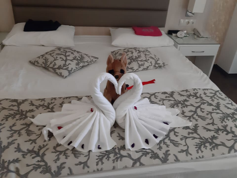 Zimmer Dreams Sunny Beach Resort & Spa