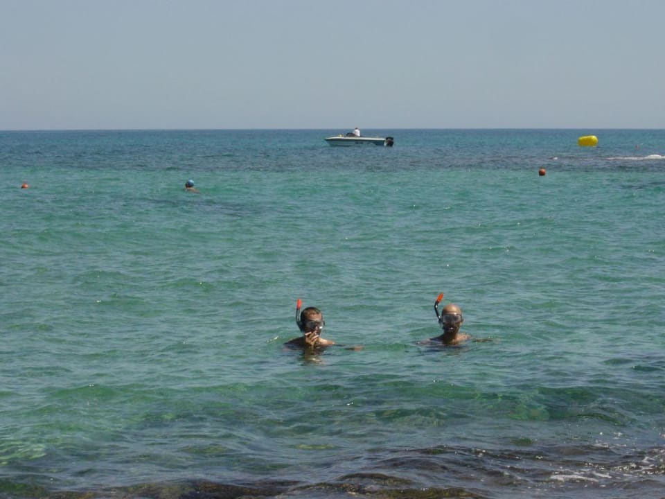 Hotelstrand Phãea Cretan Malia