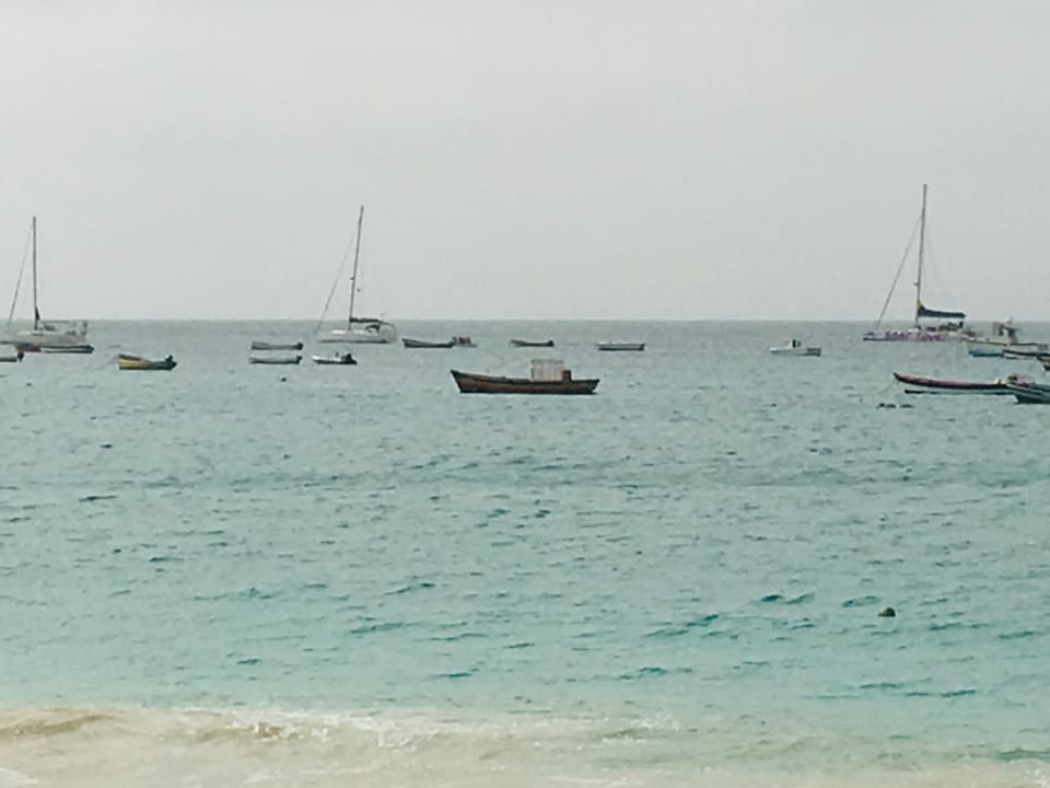 Strand Oasis Salinas Sea