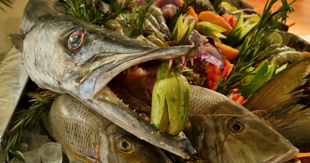 Gastro Hotel Sheraton Soma Bay Resort