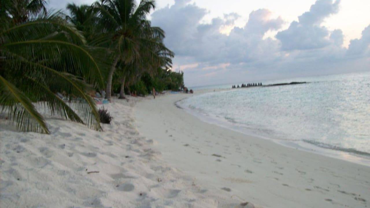 Strand Summer Island Maldives