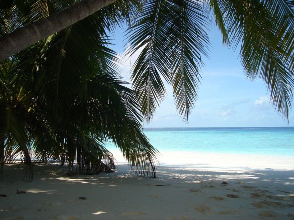 Traumausblick vom Liegestuhl Fihalhohi Maldives