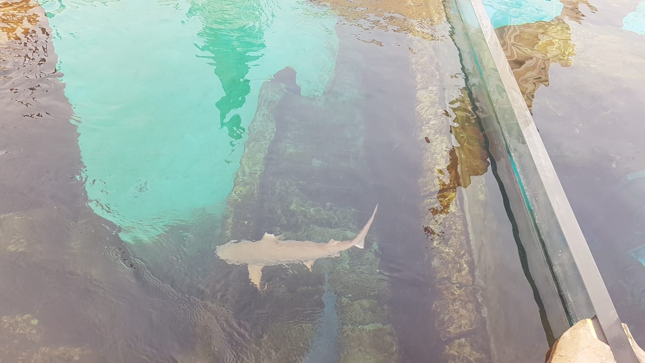 Sport & Freizeit The Land of Legends Kingdom Hotel