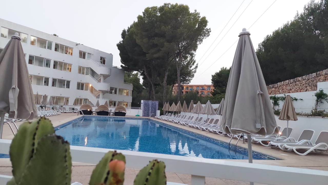 Pool allsun Hotel Paguera Park
