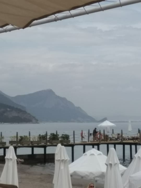 Strand Crystal Flora Pearl Collection