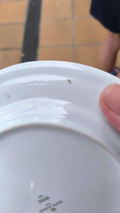 Lobby allsun App.-Hotel Albatros