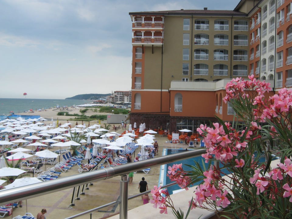 Pool und Strand Sol Luna Bay
