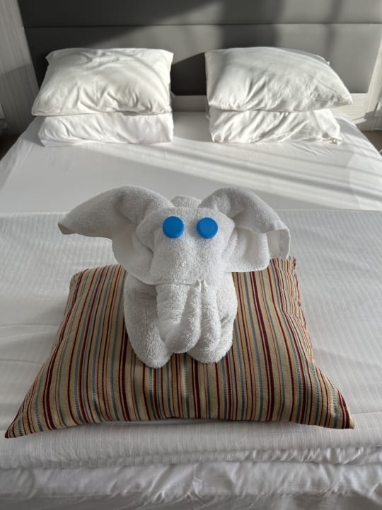 Zimmer Titanic Beach Spa & Aqua Park