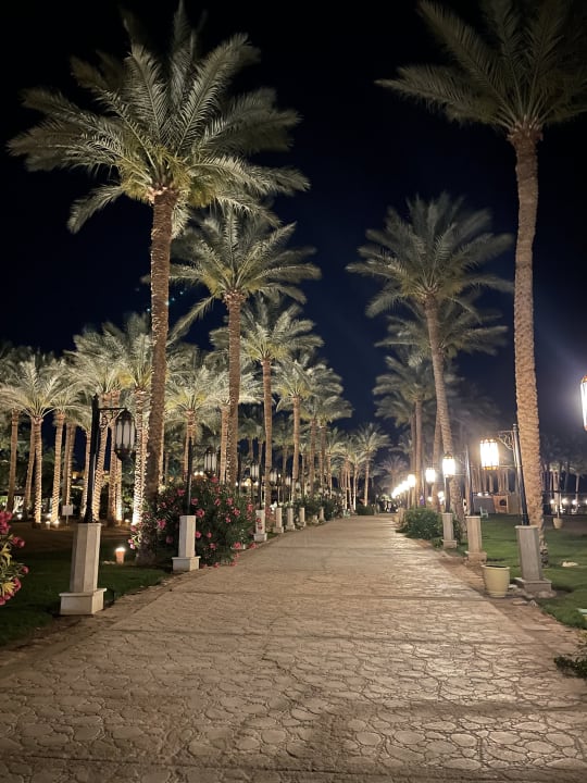 Gartenanlage Grand Waterworld Makadi & Family Star Makadi