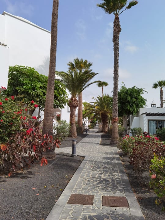 Gartenanlage allsun App.-Hotel Albatros