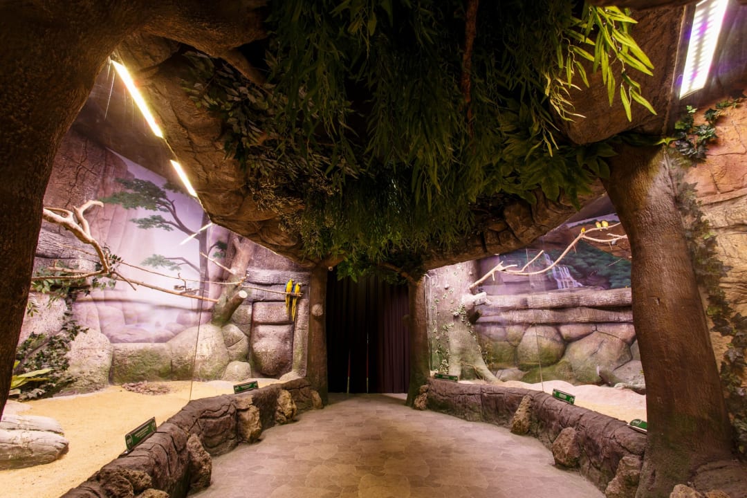 Sport & Freizeit Isfanbul Holiday Home & Suites