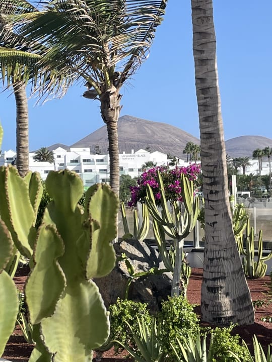Ausblick Hotel Las Costas