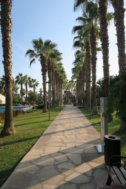 Gartenanlage Arum Barut Collection