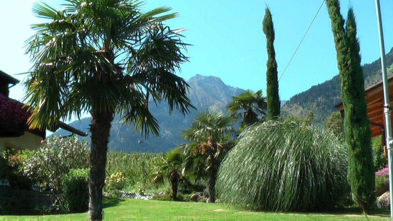 Mediterrane Bepflanzung unserer Gartenlandschaft Oberangerhof