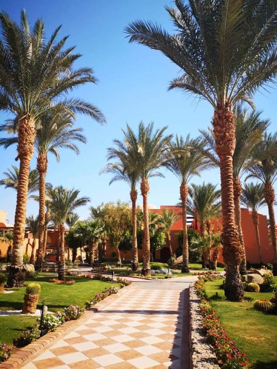 Gartenanlage Jaz Makadi Oasis Resort