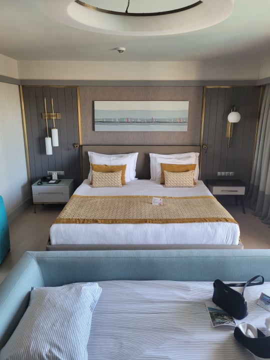 Zimmer Arum Barut Collection