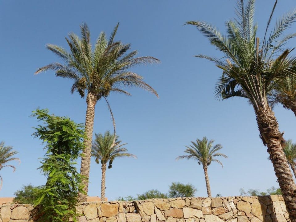 Z tyłu hotelu Stella Garden Resort & Spa, Makadi Bay