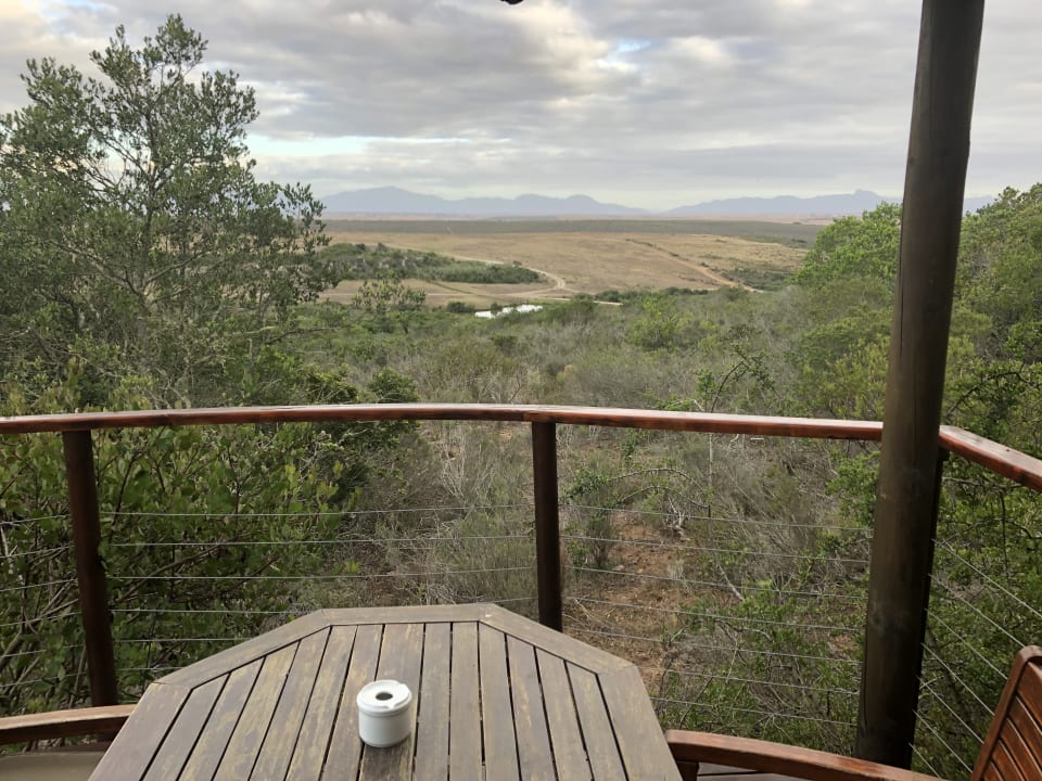 Ausblick Hotel Garden Route Game Lodge