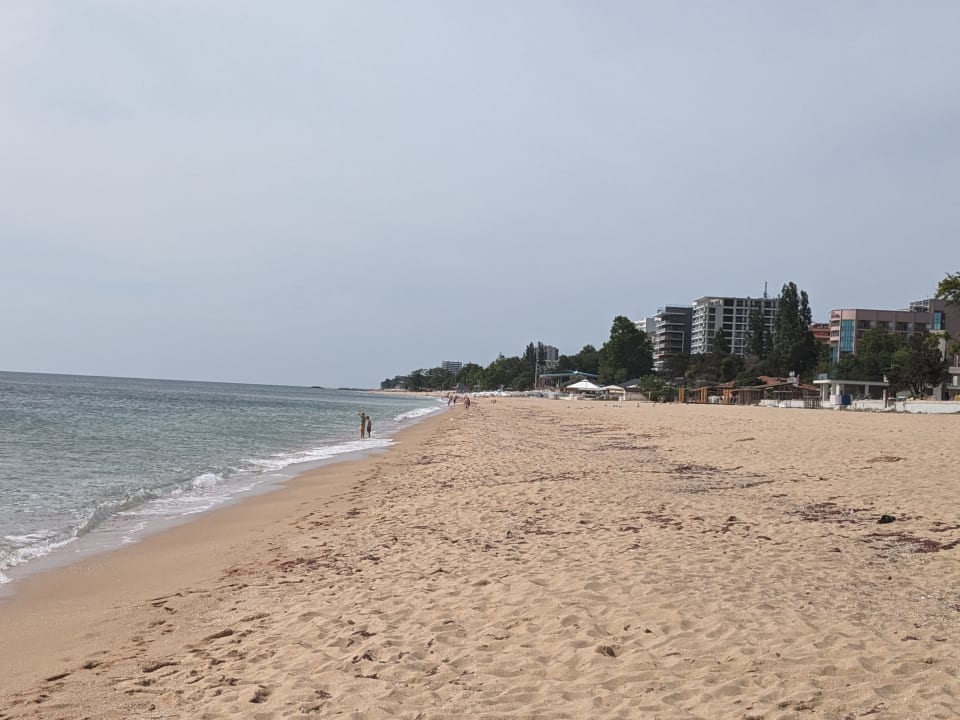 Strand Sentido Marea