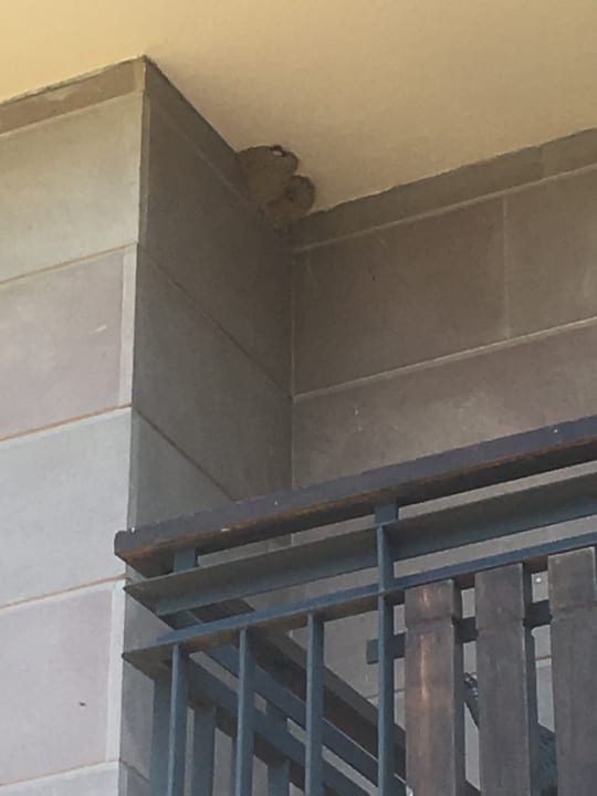 Zimmer Calimera Serra Palace