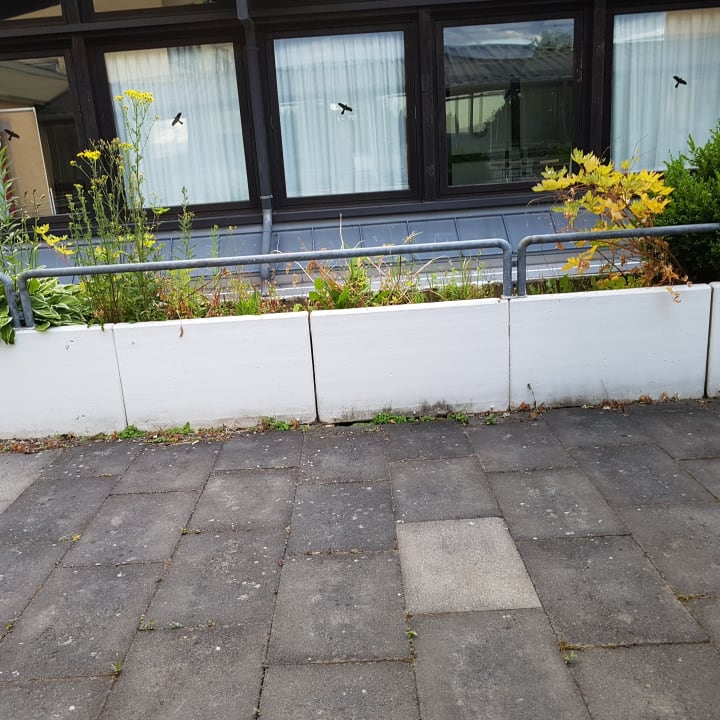 Sonstiges DORMERO Hotel Bonn - Windhagen