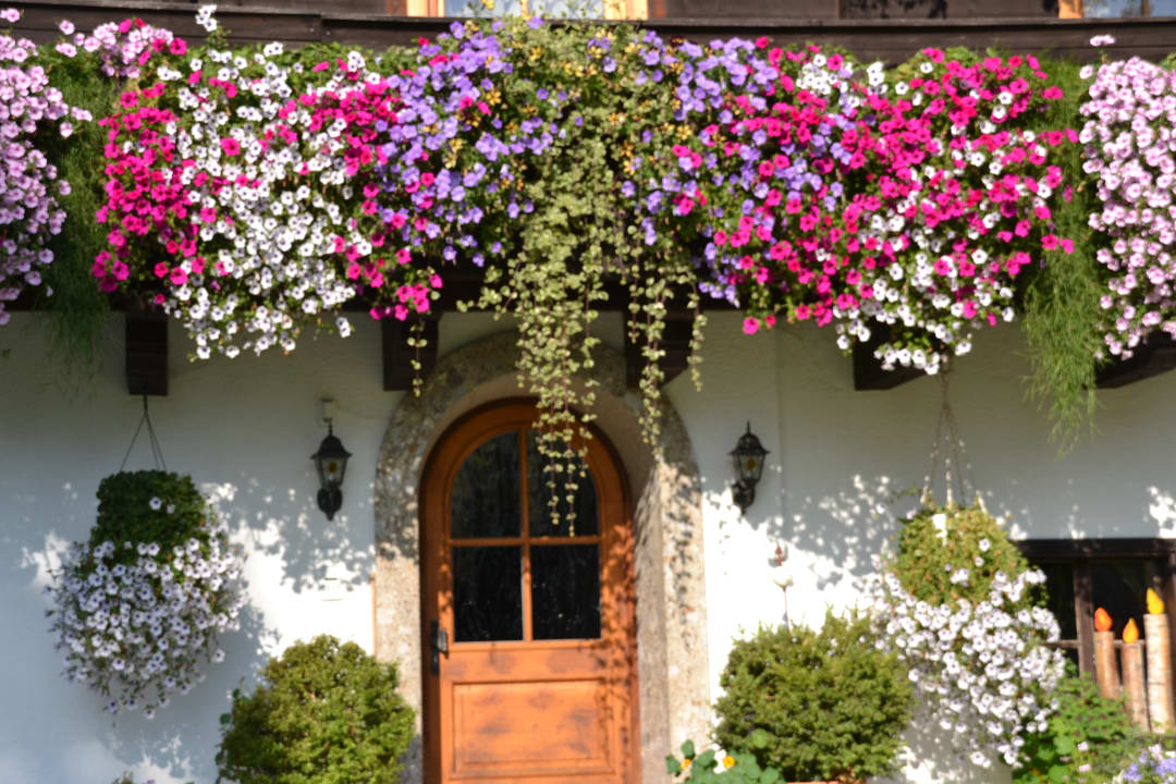 Außenansicht Bauernhof Matzhof