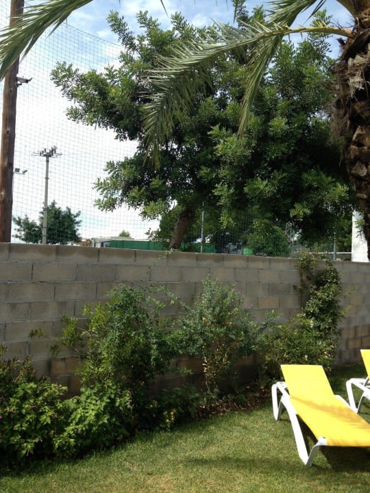 Hinter der Mauer ist der Fußballplatz Bungalow Park Colibri