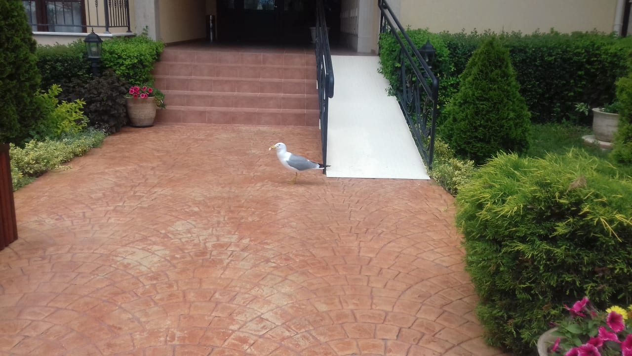 Außenansicht Hotel&SPA Diamant Residence