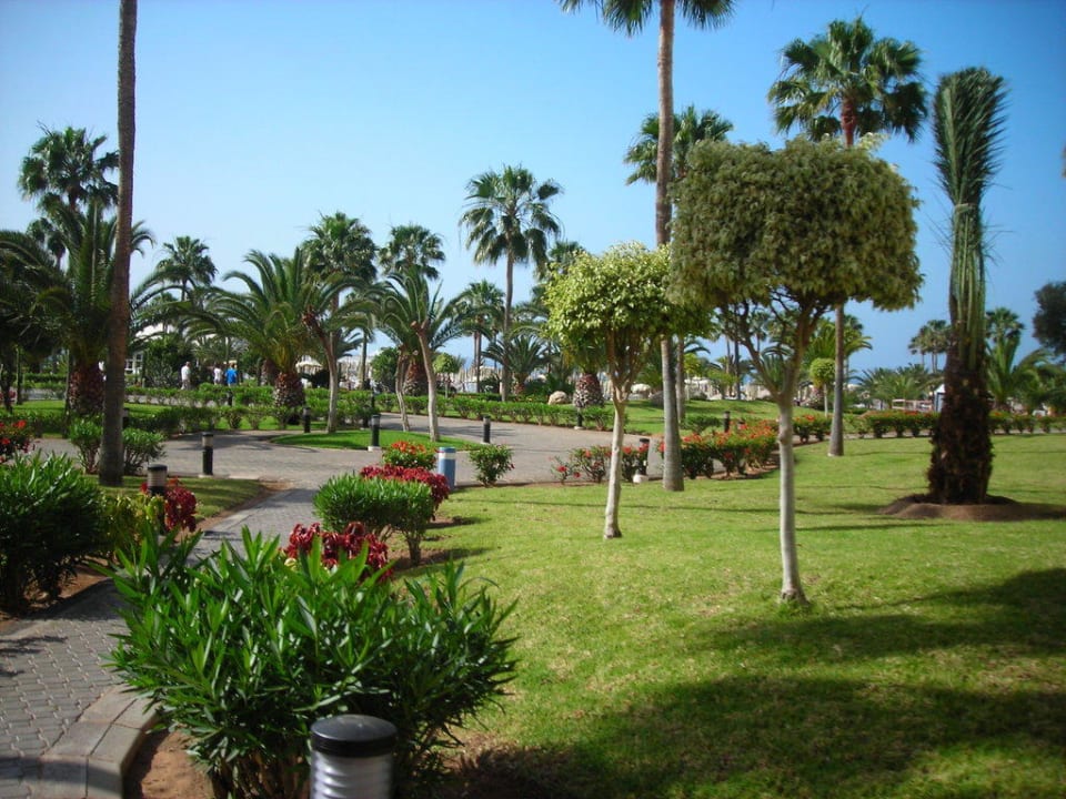Garten Hotel Riu Gran Canaria