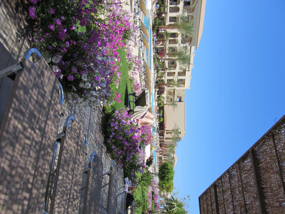 Liegeplätze Jaz Bluemarine