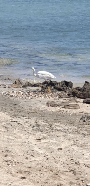 Strand Shams Alam Beach Resort